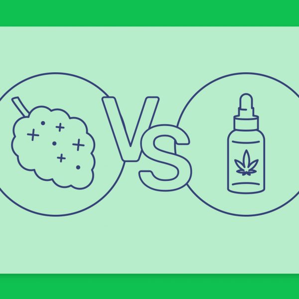 טיפול בשמן או תפרחת? ריאיון עם חברת שיח לכבוד יציאת שמן בלאק החדש