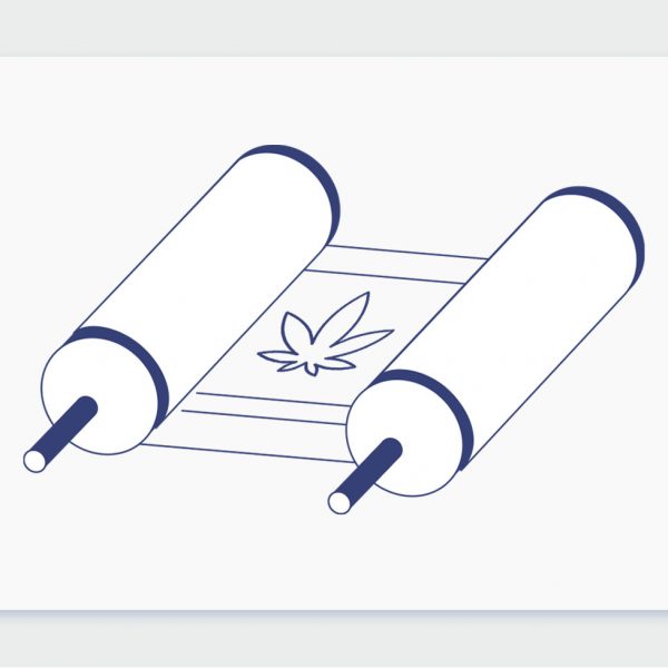 הקשר היהודי: קנאביס ביהדות - חברת שיח מספרת על קנאביס בתנ"ך ועל קנאביס כשר למהדרין