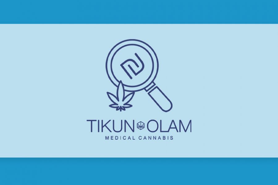 וואפל, לוליפופ וסנאקס: סדרת זני הקנאביס הרפואי של תיקון עולם