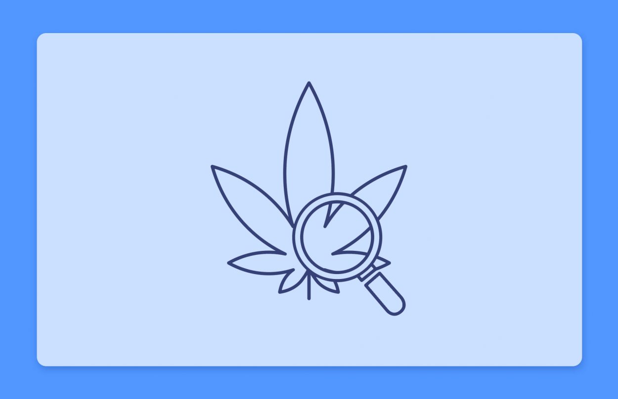 עדכוני קנאביס רפואי תפרחות ושמני קנאביס רפואי, סיכום השבוע שהיה 28.7.22