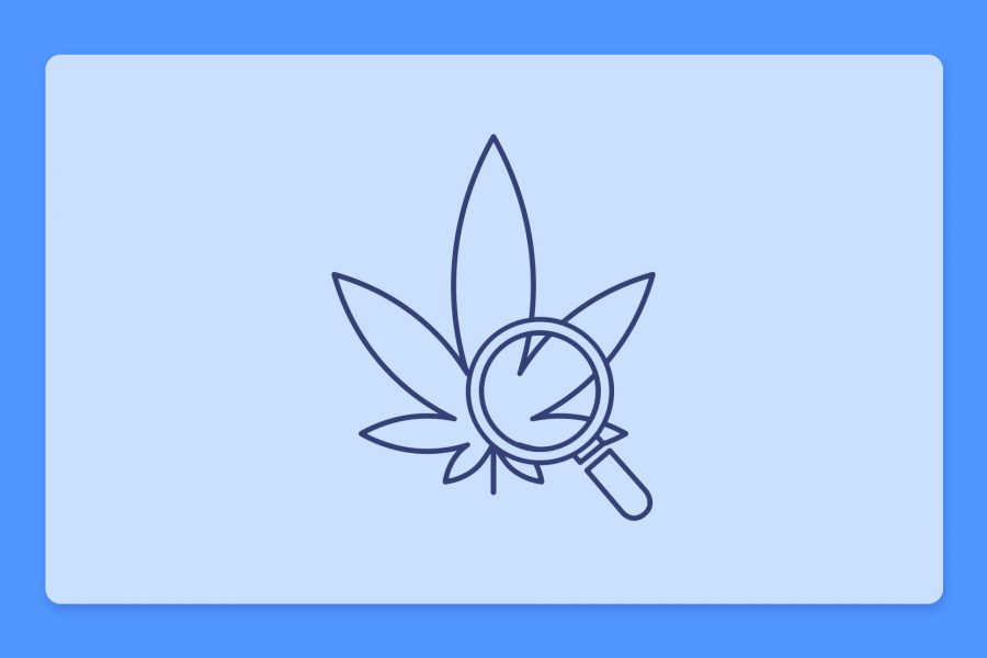 עדכוני קנאביס רפואי תפרחות ושמני קנאביס רפואי, סיכום השבוע שהיה 28.7.22