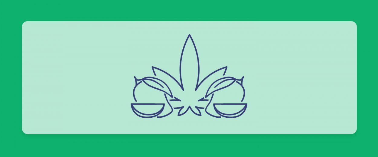 לכבוד יום המנגו הבינלאומי: מה קורה כשמערבבים מנגו וקנאביס?