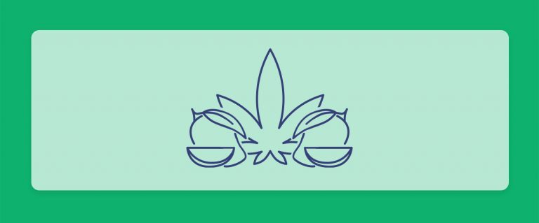 לכבוד יום המנגו הבינלאומי: מה קורה כשמערבבים מנגו וקנאביס?