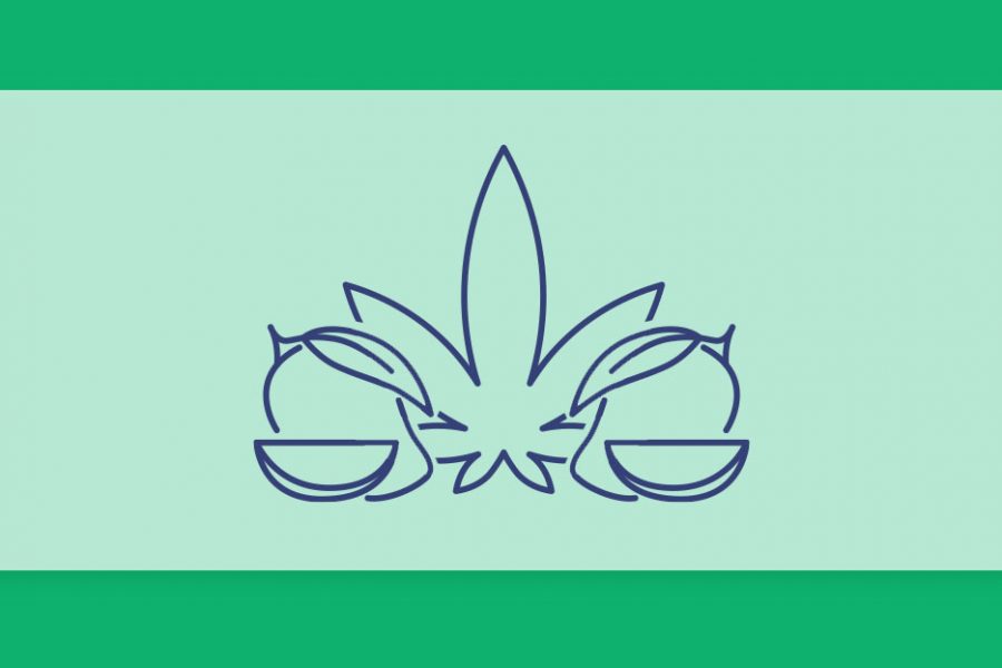 לכבוד יום המנגו הבינלאומי: מה קורה כשמערבבים מנגו וקנאביס?