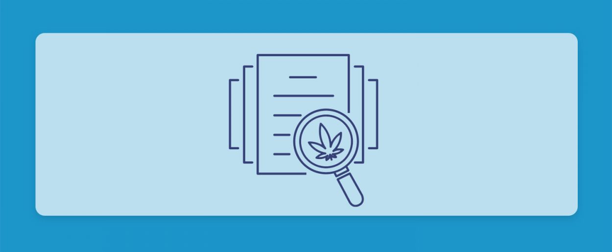 עתיד ירוק: לאן צועד שוק הקנאביס - תיקון עולם בוועידת הבריאות של ידיעות אחרונות