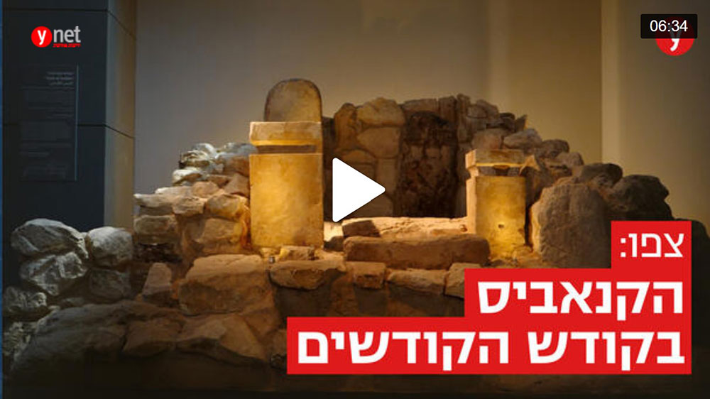 שרידי קנאביס על מזבח יהודי בתל ערד, סרטון של ynet