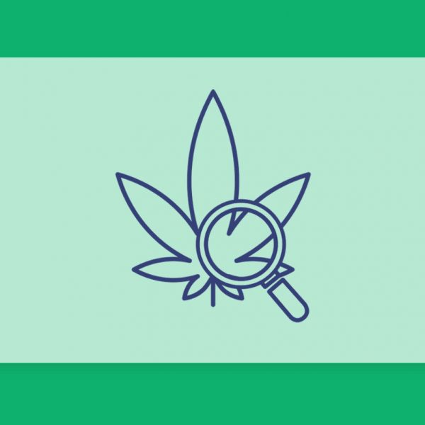 עדכוני קנאביס רפואי תפרחות ושמני קנאביס רפואי, סיכום השבוע שהיה 14.7.22