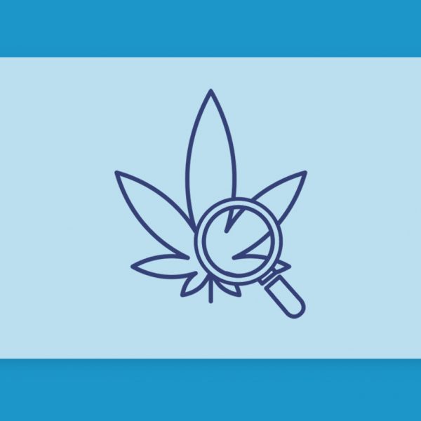 עדכוני קנאביס רפואי תפרחות ושמני קנאביס רפואי, סיכום השבוע שהיה