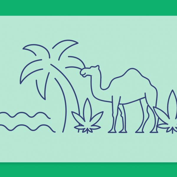 קנאביס באילת: מטופלי קנאביס באילת וכנס הקנאביס הראשון בעיר המדברית