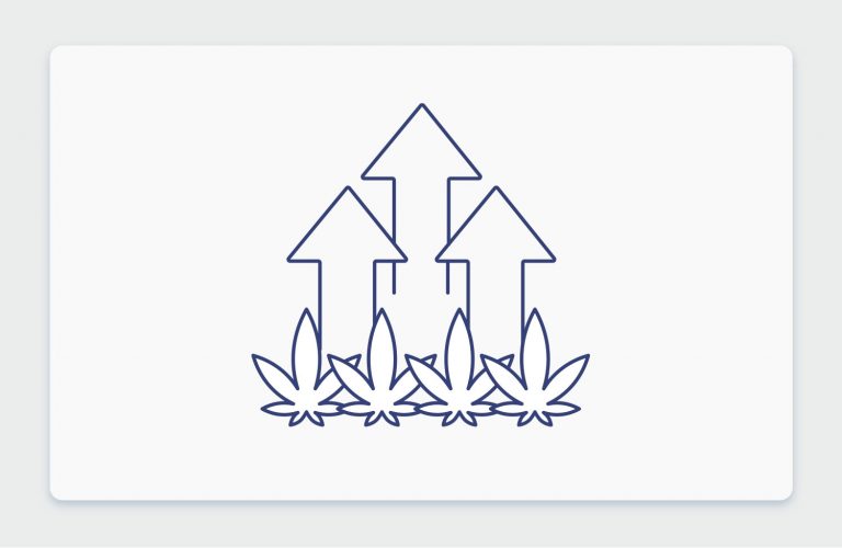 לאן הולך שוק הקנאביס הרפואי בישראל? שוחחנו עם מומחים מהתעשייה בנושא
