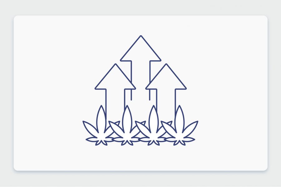 לאן הולך שוק הקנאביס הרפואי בישראל? שוחחנו עם מומחים מהתעשייה בנושא