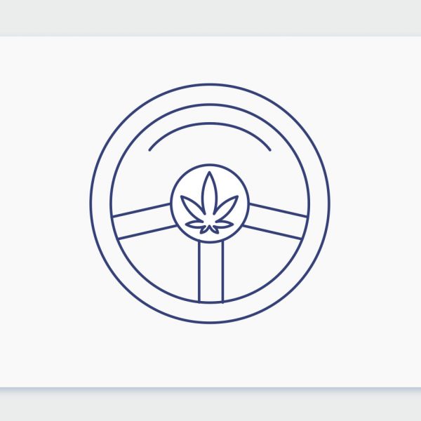 קנאביס ונהיגה בישראל: מה אומר החוק ומהן התקנות החדשות המחכות לאישור