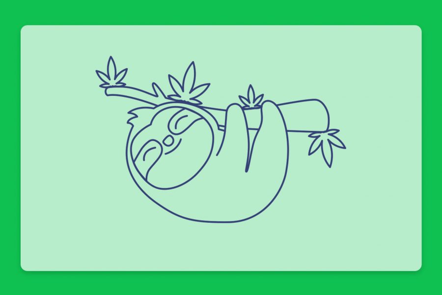 קנאביס ועצלנות: לכבוד יום העצלנות הבינלאומי בדקנו מה הקשר בין השניים. מחקרים, הרגלים וזני קנאביס רפואי