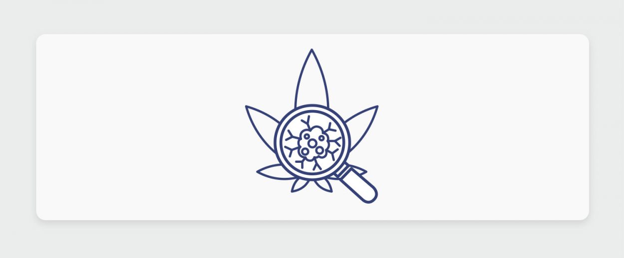 אונקולוגיה וקנאביס רפואי: כיצד קנאביס משפר איכות חיים למטופלים אונקולוגיים, מתוך כנס של תיקון עולם