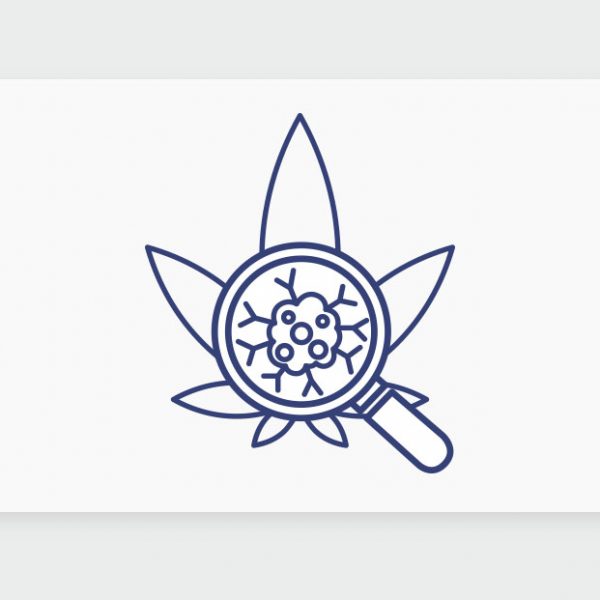 אונקולוגיה וקנאביס רפואי: כיצד קנאביס משפר איכות חיים למטופלים אונקולוגיים, מתוך כנס של תיקון עולם