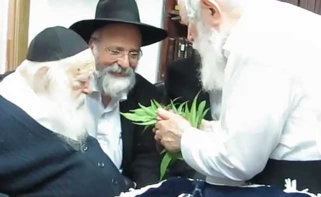 הרב זילברשטיין והרב קנייבסקי ז"ל מברכים על צמח הקנאביס