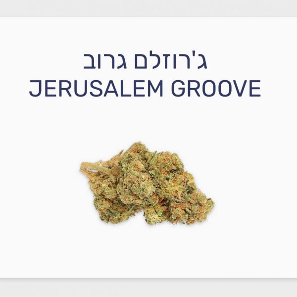 סקירת זן ג'רוזלם גרוב – תפרחת קנאביס רפואי T20/C4 אינדיקה