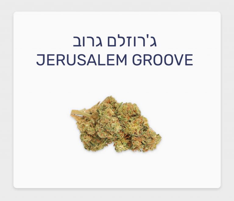 סקירת זן ג'רוזלם גרוב – תפרחת קנאביס רפואי T20/C4 אינדיקה