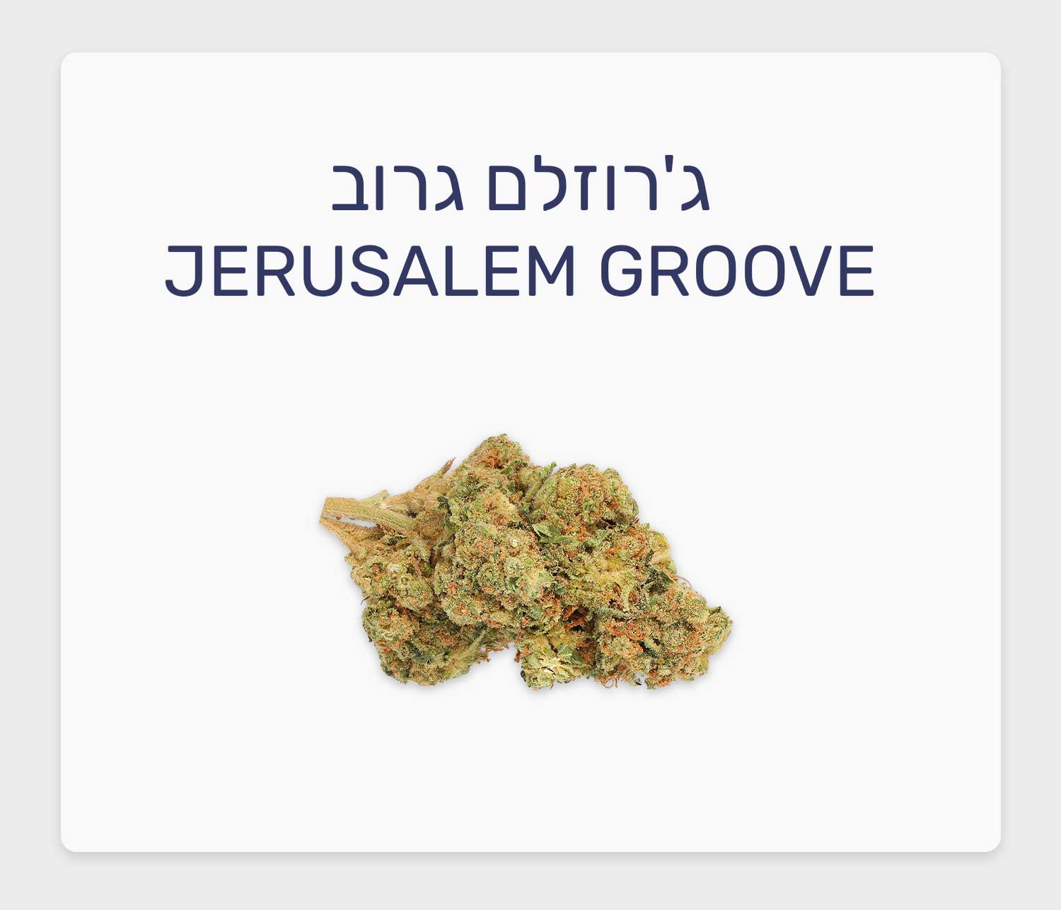 סקירת זן ג'רוזלם גרוב – תפרחת קנאביס רפואי T20/C4 אינדיקה