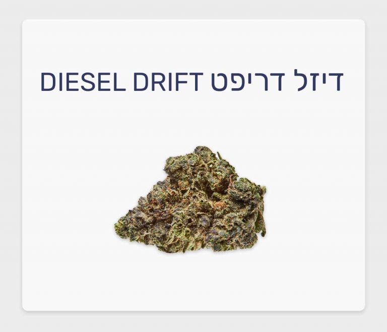 סקירת זן דיזל דריפט – תפרחת קנאביס רפואי בגידול אינדור קנדי, T20/C4 אינדיקה