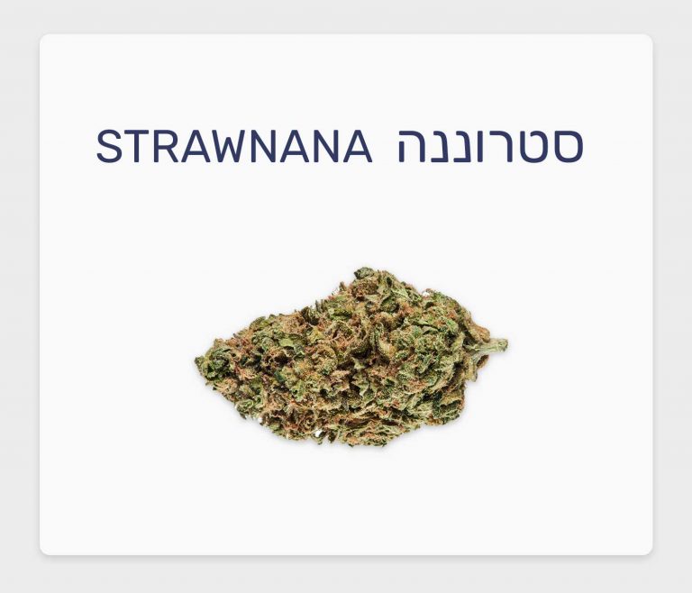 סקירת זן סטרוננה – תפרחת קנאביס רפואי T20/C4 היברידי