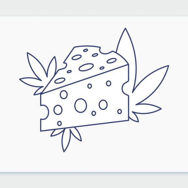 ריח הקנאביס: ארומות הקנאביס השונות - והפעם, ארומת צ'יז Cheese וזני קנאביס גבינתיים