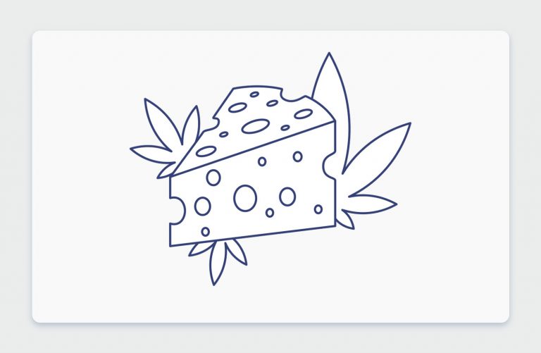 ריח הקנאביס: ארומות הקנאביס השונות - והפעם, ארומת צ'יז Cheese וזני קנאביס גבינתיים