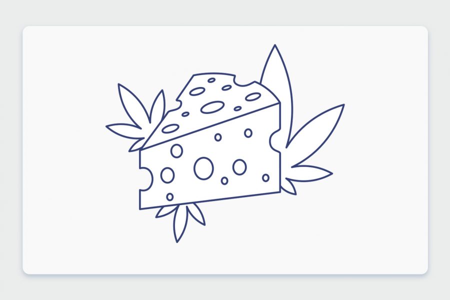 ריח הקנאביס: ארומות הקנאביס השונות - והפעם, ארומת צ'יז Cheese וזני קנאביס גבינתיים