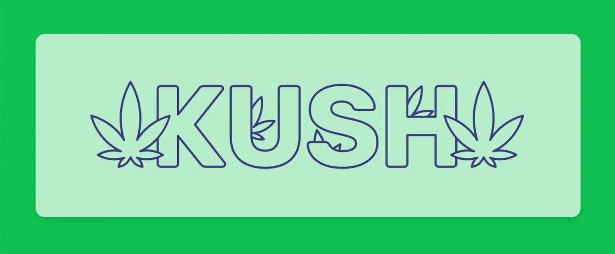 קנאביס קוש Kush: זני קנאביס חדשים במלאי וזנים נוספים המכילים את גנטיקת הקוש