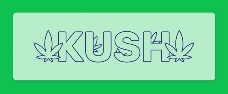 קנאביס קוש Kush: זני קנאביס חדשים במלאי וזנים נוספים המכילים את גנטיקת הקוש