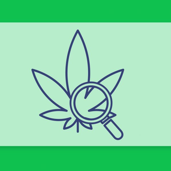 עדכוני קנאביס רפואי, סיכום השבוע שהיה