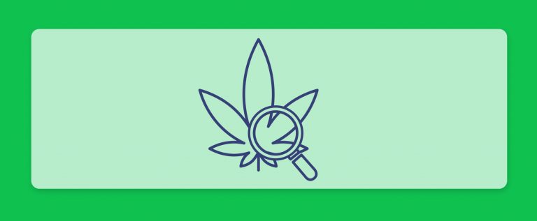 עדכוני קנאביס רפואי, סיכום השבוע שהיה