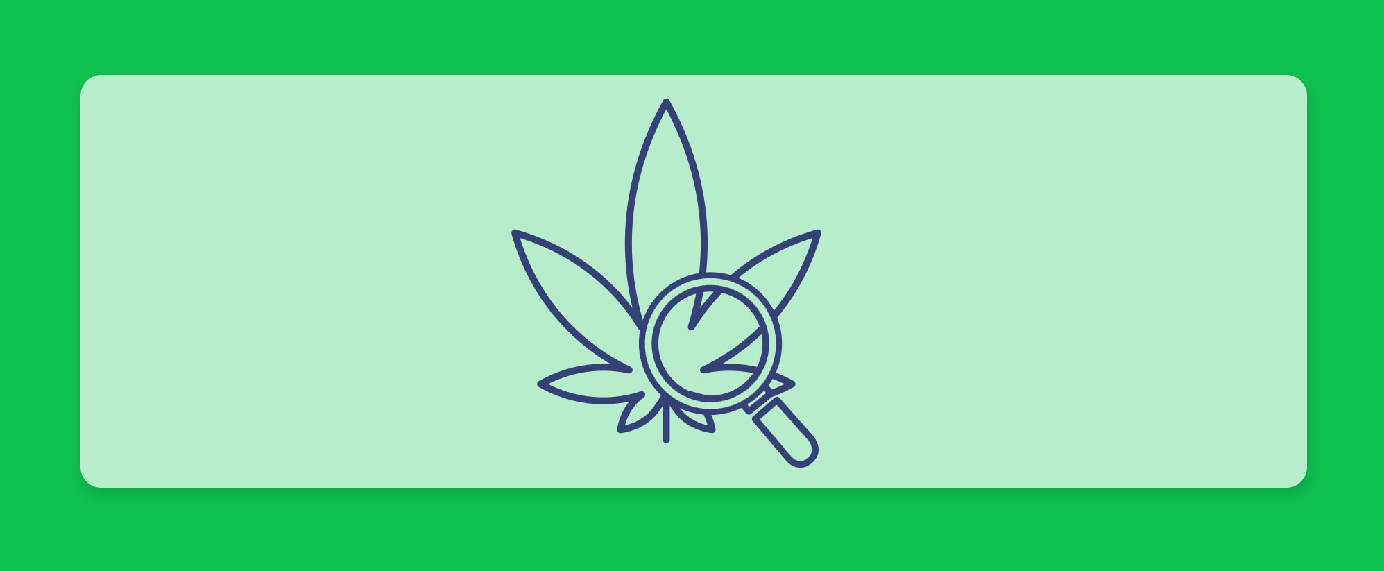 עדכוני קנאביס רפואי, סיכום השבוע שהיה