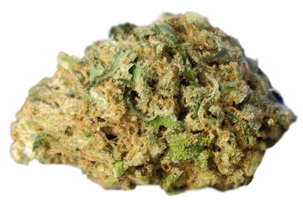 תפרחת שקיעת השמש