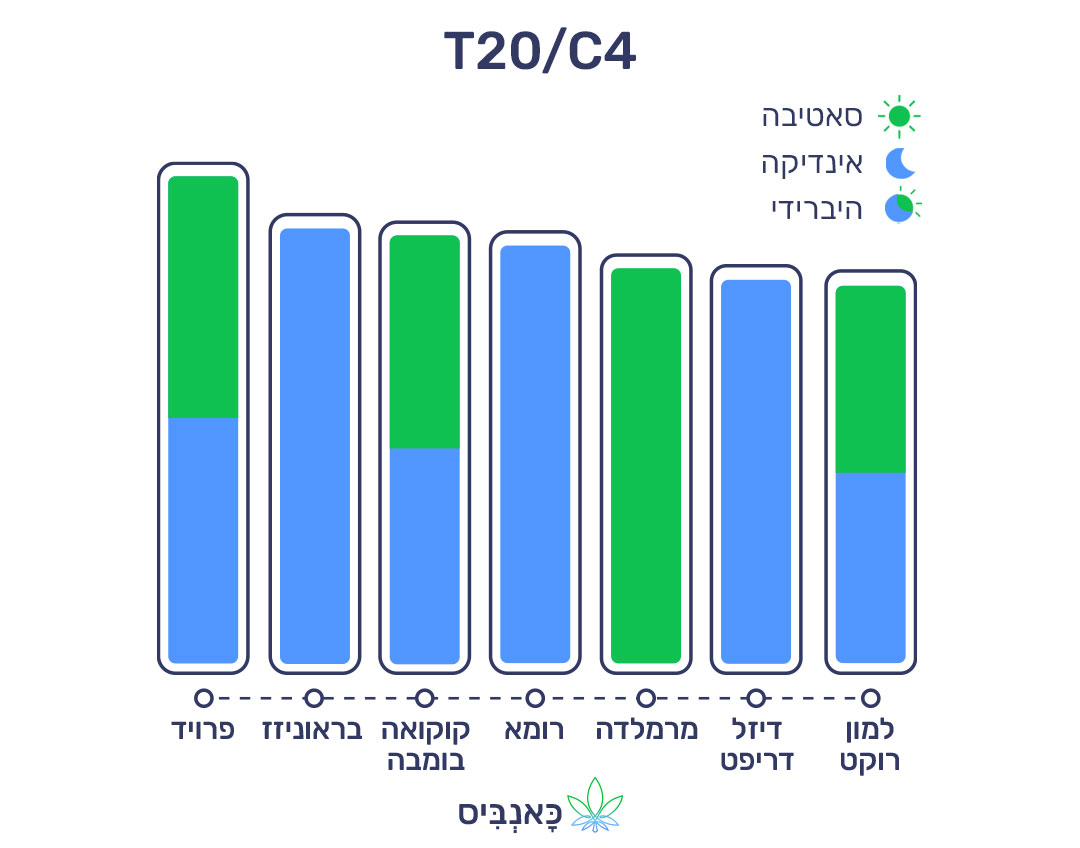 18.9.22 דירוג זנים T20