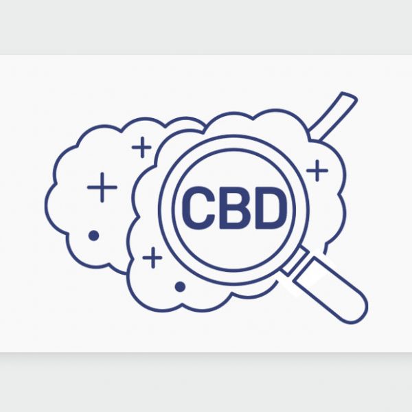 זני CBD: צריכת תפרחות קנאביס עשירות בסיבידי וזנים חדשים במלאי