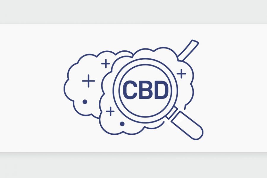 זני CBD: צריכת תפרחות קנאביס עשירות בסיבידי וזנים חדשים במלאי