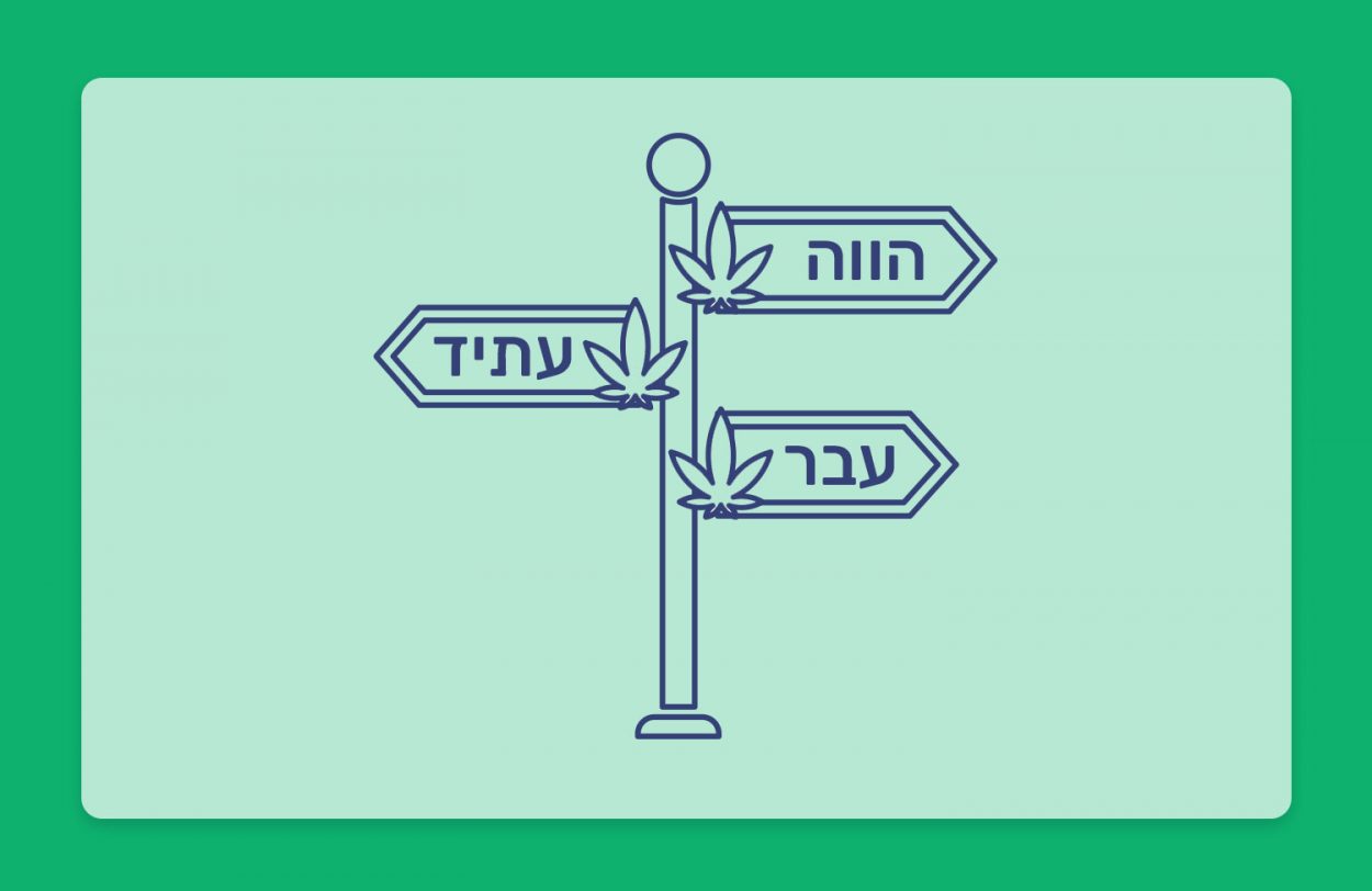 קנאביס בישראל: עבר, הווה ועתיד - מתוך הוועדה לקידום הסדרת טיפול הקנאביס הרפואי בארץ