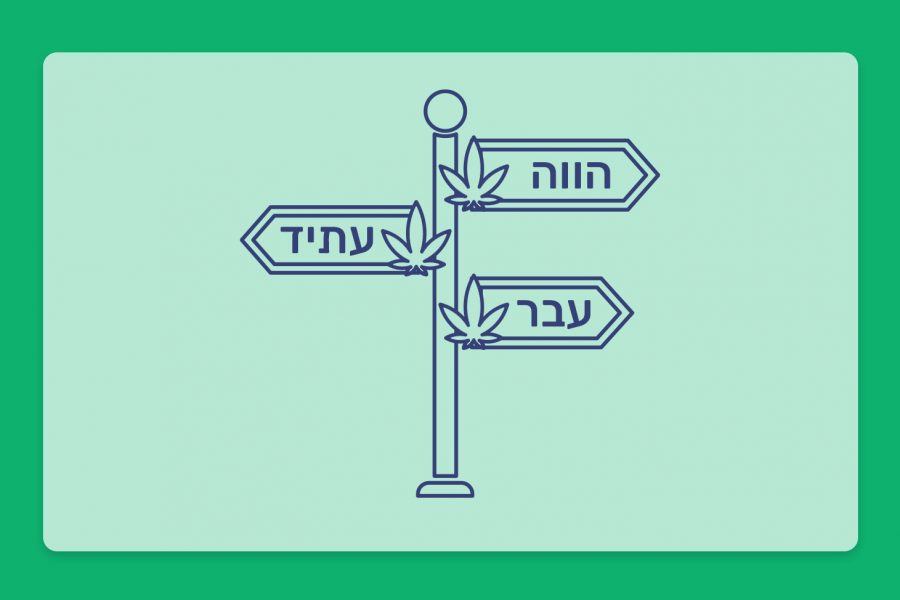 קנאביס בישראל: עבר, הווה ועתיד - מתוך הוועדה לקידום הסדרת טיפול הקנאביס הרפואי בארץ