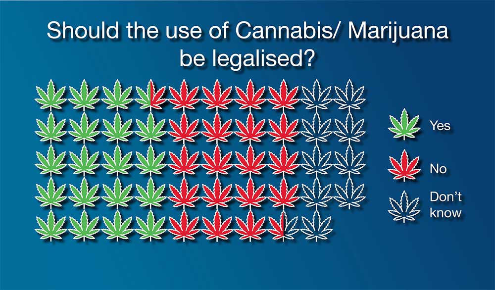 הדעות החלוקות של האנגלים בנוגע ללגליזציית קנאביס