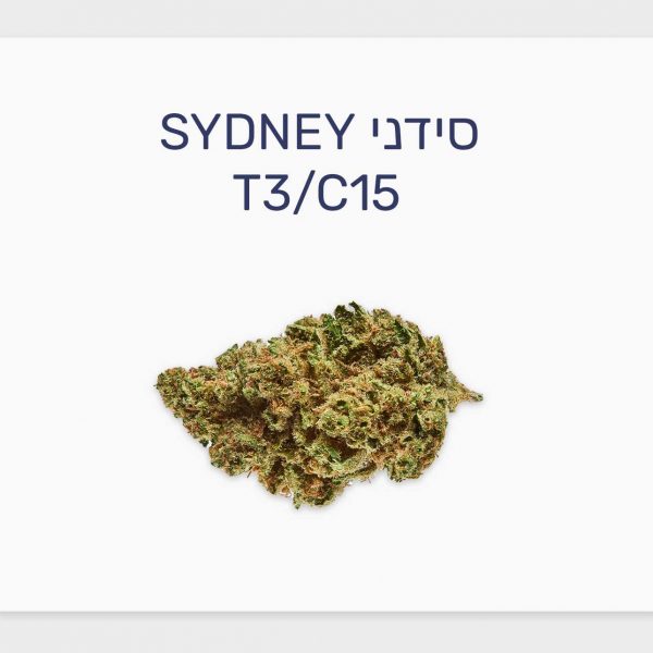 סקירת זן סידני – תפרחת קנאביס רפואי T3/C15 של IMC