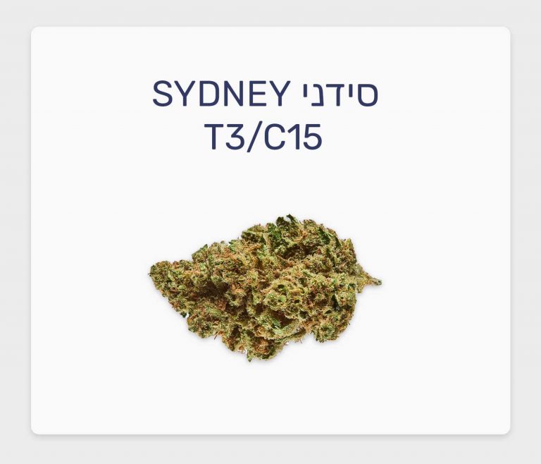 סקירת זן סידני – תפרחת קנאביס רפואי T3/C15 של IMC