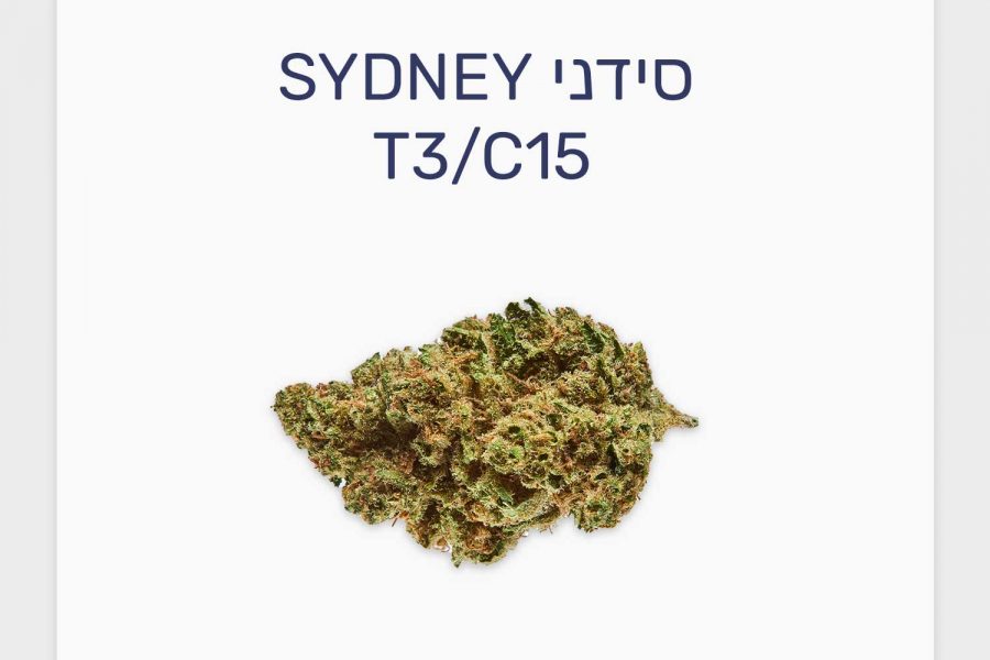 סקירת זן סידני – תפרחת קנאביס רפואי T3/C15 של IMC