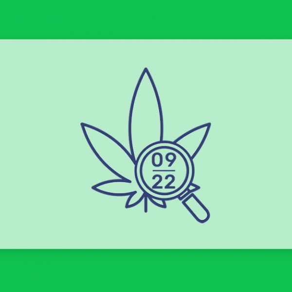 עדכוני קנאביס רפואי תפרחות ושמני קנאביס רפואי, סיכום החודש שהיה ספט' 22