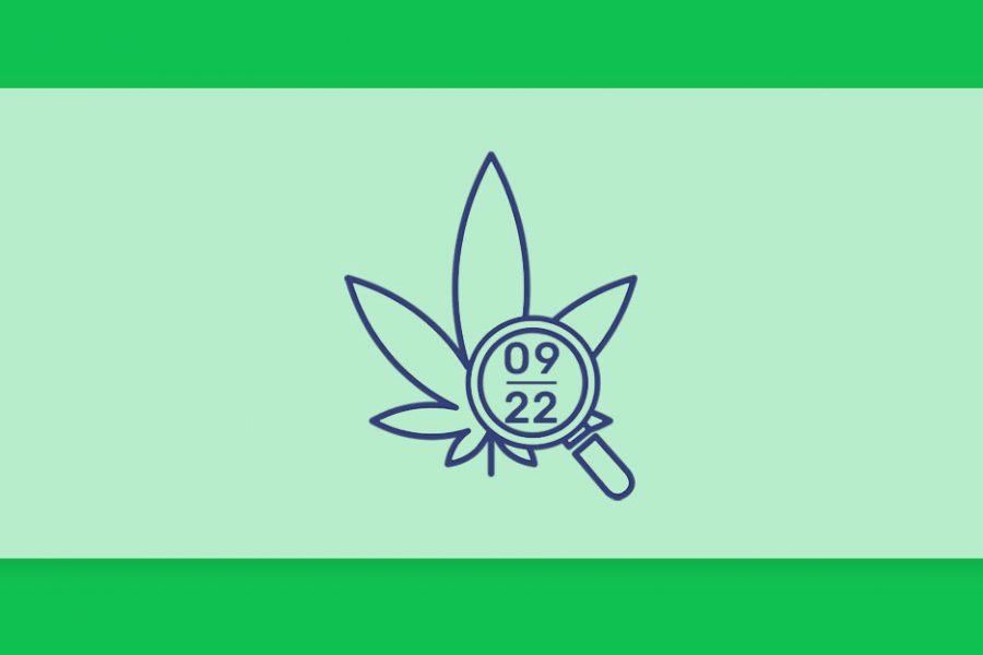 עדכוני קנאביס רפואי תפרחות ושמני קנאביס רפואי, סיכום החודש שהיה ספט' 22