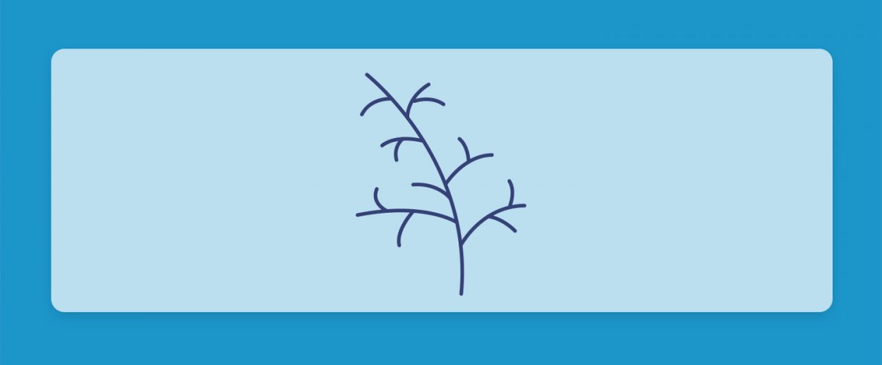 טרפנים 101#: הכל על הטרפן גוואיול Guaiol