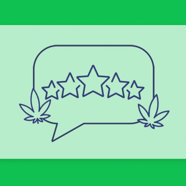 זני קנאביס מומלצים מהשנה החולפת - מטופלים מספרים על הזנים המועדפים עליהם