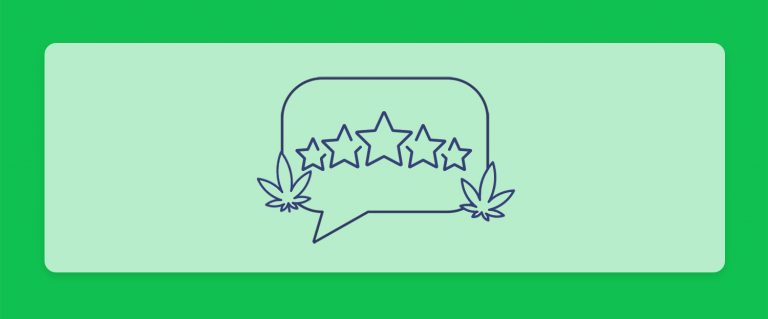 זני קנאביס מומלצים מהשנה החולפת - מטופלים מספרים על הזנים המועדפים עליהם