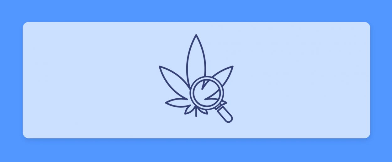 עדכוני קנאביס רפואי תפרחות ושמני קנאביס רפואי, סיכום השבוע שהיה 8.9.22