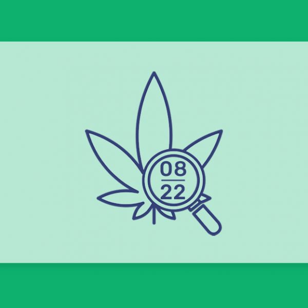 עדכוני קנאביס רפואי תפרחות ושמני קנאביס רפואי, סיכום החודש שהיה אוגוסט 22